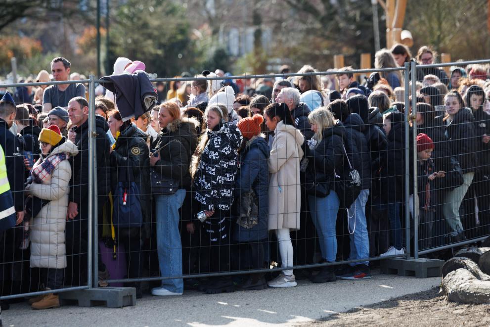 Registration centre for Ukrainian refugees in Brussels